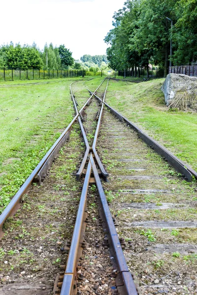 The crossing of normal and narrow gauge, Elk — Stock Photo, Image