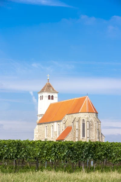 Kirche mit Weinberg, Kirchenberg — Stockfoto