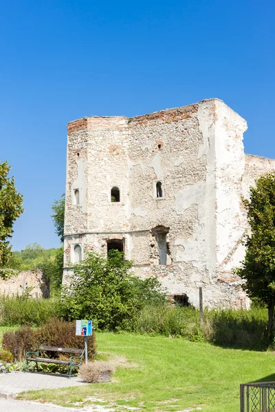较低的奥地利 Wenzersdorf 城堡的废墟 — 图库照片