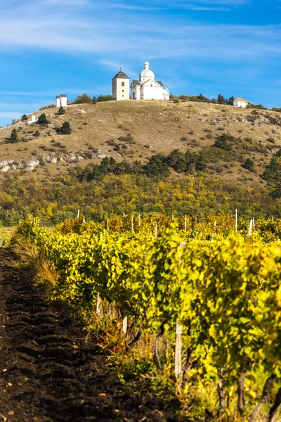 Calvary of Mikulov with autumnal vineyard — Stock Photo, Image