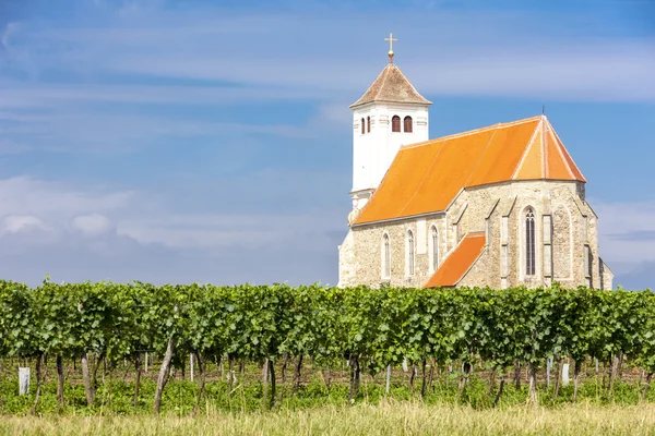 Iglesia con viñedo, Kirchenberg — Foto de Stock