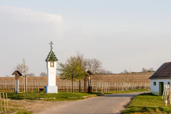 Camino con viñedo cerca de Velke Bilovice — Foto de Stock