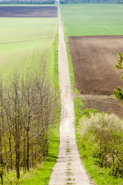 Весняний пейзаж з полями в Південній Моравії — стокове фото