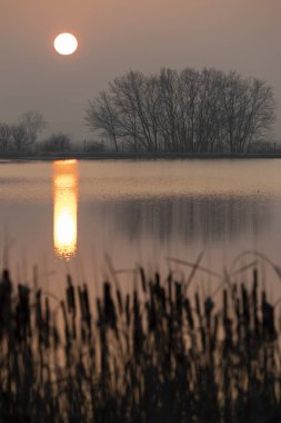 Çek Cumhuriyeti Jaroslavice Gölü üzerinde sunrice