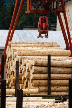 Alps, İtalya 'da marangozluk endüstrisi