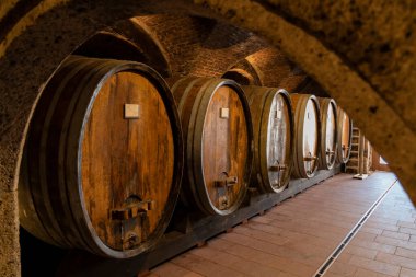 Thallern şarap mahzeninde, Viyana yakınlarında Gumpoldskirchen, Aşağı Avusturya, Avusturya