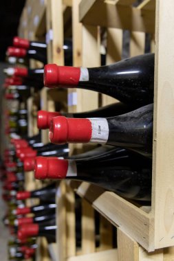 Thallern şarap mahzeninde, Viyana yakınlarında Gumpoldskirchen, Aşağı Avusturya, Avusturya