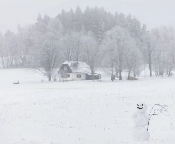Çek Cumhuriyeti Orlicke Dağlarında Kardan Adam — Stok fotoğraf