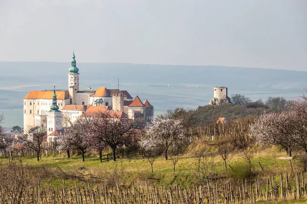 Mikulov Castello Con Alberi Fiore Moravia Meridionale Repubblica Ceca — Foto Stock