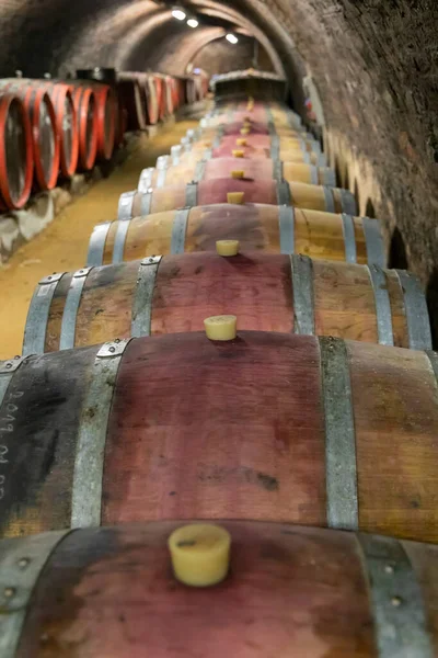 Old Wine Cellar Pecs Hungary — Stock Photo, Image