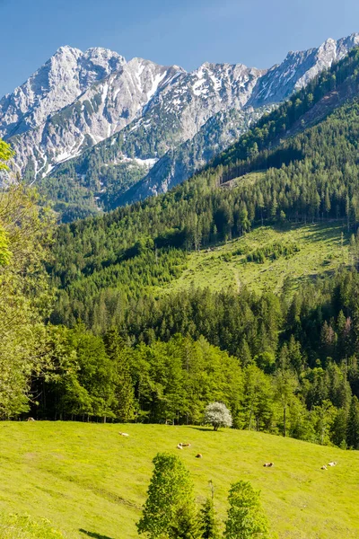 Parque Nacional Kalkalpen Áustria — Fotografia de Stock