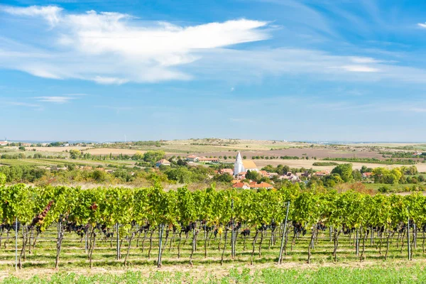 Hnanice Und Weinberge Region Znojmo Tschechien — Stockfoto