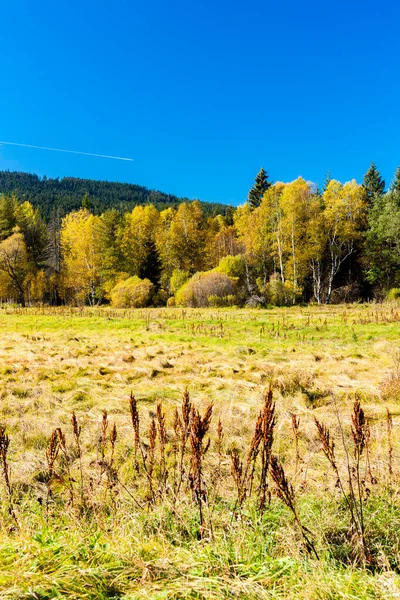 Krajina Šumava Česká Republika — Stock fotografie