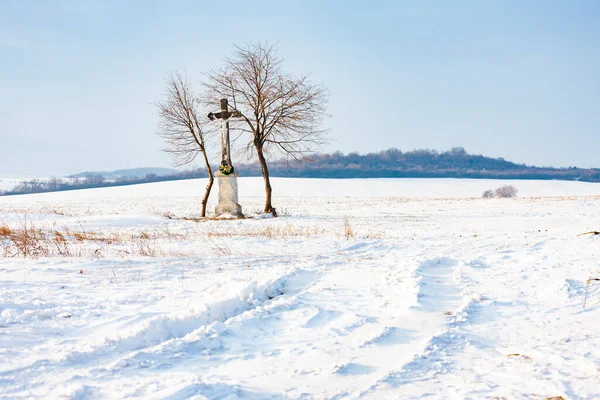 Gudar Tortyren Nära Velka Trna Tokaj Regionen Slovakien — Stockfoto