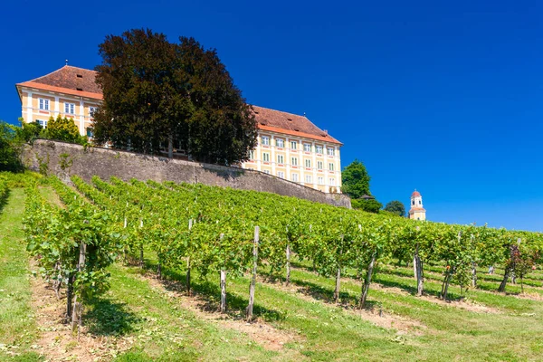奥地利施蒂里亚的城堡和葡萄园 — 图库照片