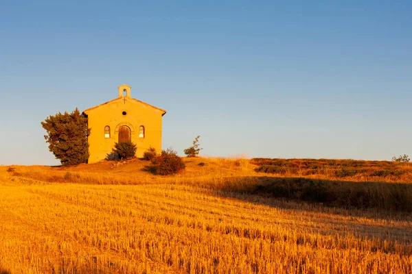 Kaplica Lawendowym Polem Plateau Valensole Prowansja Francja — Zdjęcie stockowe