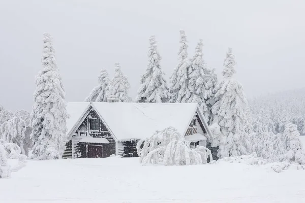 Cottage Winter Orlicke Mountains Czech Republic — Stock Photo, Image