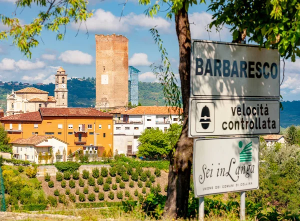 Vesnice Vinice Barbaresco Unesco Site Piemont Severní Itálie — Stock fotografie