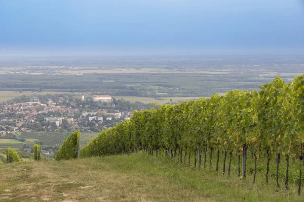 Château Siklos Dans Région Villany Avec Vignobles Hongrie Sud — Photo