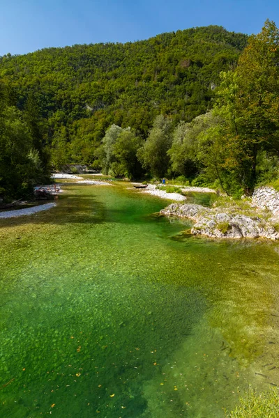 Sava Bohinjka Triglav Ulusal Parkı Slovenya — Stok fotoğraf