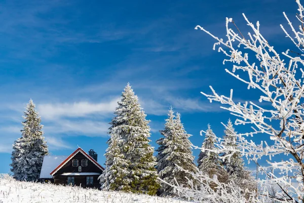 Orlicke Mountains Winter Tsjechië — Stockfoto