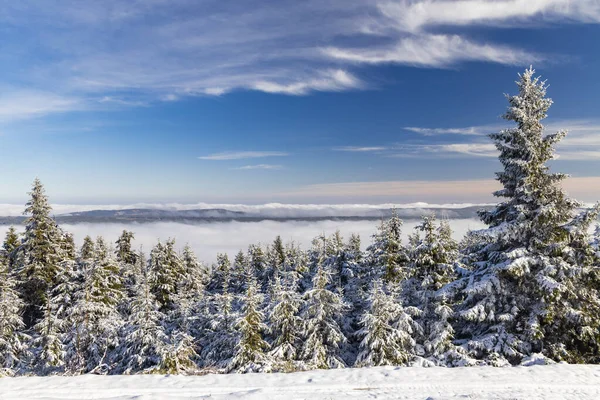 Orlickefjällen Vintern Tjeckien — Stockfoto