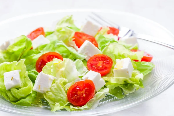 新鮮な野菜とフェタチーズとトマトのサラダ ロイヤリティフリーのストック写真