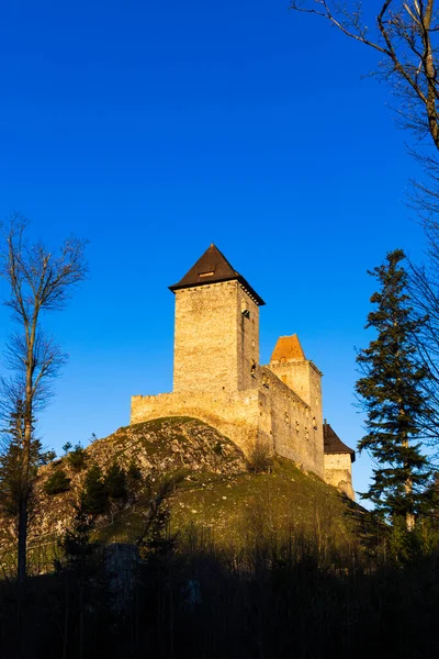 Kasperk Castello Sumava Repubblica Ceca — Foto Stock