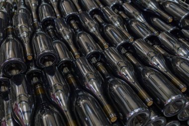 Kuzey Macaristan 'ın merkezindeki eski mahzende şarap şişeleri