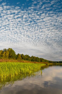 Çek Cumhuriyeti, Güney Bohemya 'da Doğa Koruma Alanı