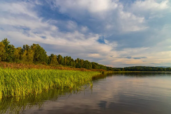 Natuurreservaat Rezabinec Zuid Bohemen Tsjechië — Stockfoto