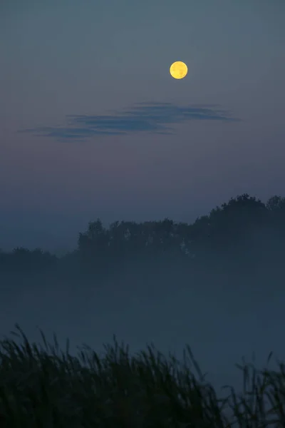 チェコ共和国南ボヘミアの自然保護区レザビネツで満月の朝の霧 — ストック写真