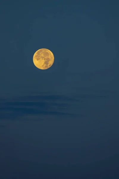 Fullt Mooninnaturreservat Rezabinec Södra Böhmen Tjeckien — Stockfoto