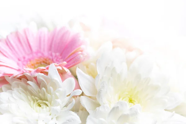 Νεκρή Ζωή Λουλουδιών Λευκό Φόντο — Φωτογραφία Αρχείου