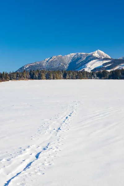 Paisagem Inverno Nas Proximidades Oravice Western Tatras Rohace Eslováquia — Fotografia de Stock