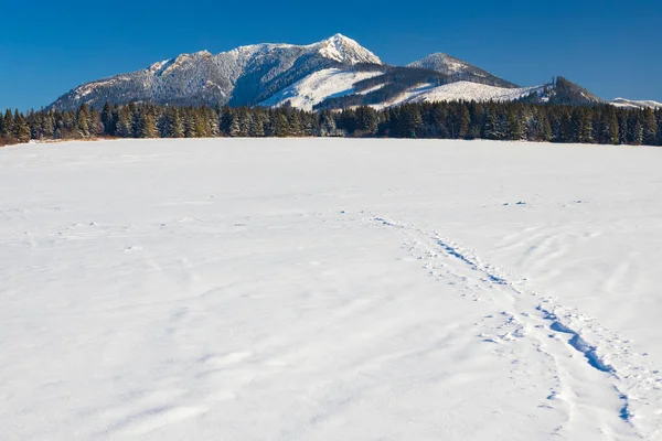 Winter Landscape Nearby Oravice Western Tatras Rohace Slovakia — Stock Photo, Image