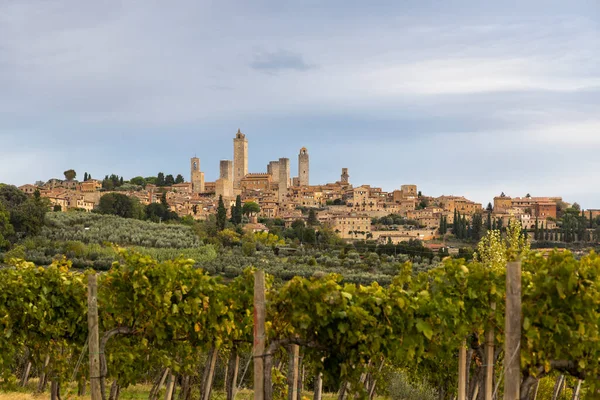 San Gimignano Unesco Site Tuscany Italy — 스톡 사진