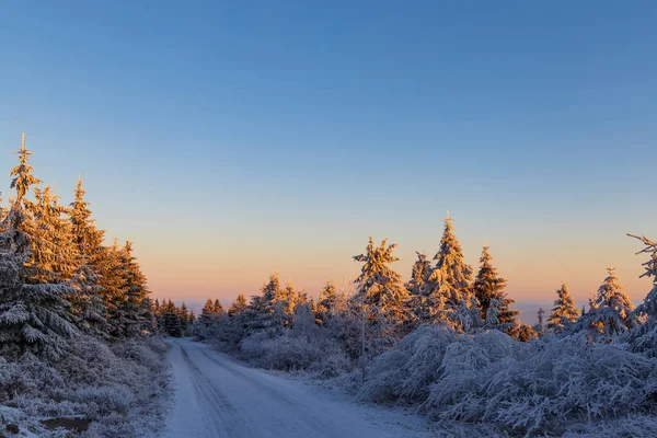 Alba Nel Paesaggio Invernale Vicino Velka Destna Montagne Orlicke Boemia — Foto Stock