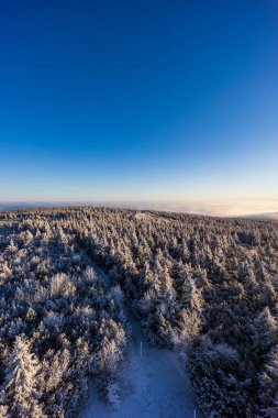 Velka Destna yakınlarındaki kış manzarası, Orlicke dağları, Doğu Bohemya, Çek Cumhuriyeti