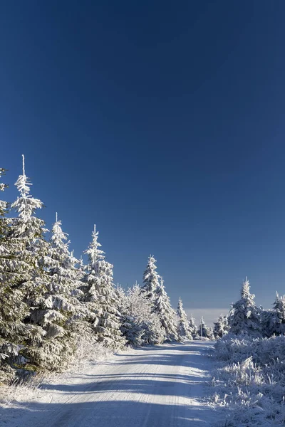 捷克共和国东波希米亚Orlicke山区Velka Destna附近的冬季景观 — 图库照片