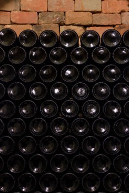 Güney Moravya Çek Cumhuriyeti şarap mahzeninde istiflenmiş şarap şişeleri alanı