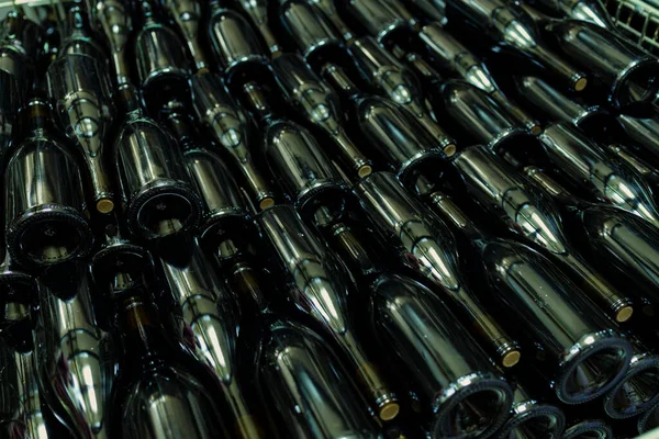 Bottles Wine Old Cellar Center Eger Northern Hungary — Stock Photo, Image