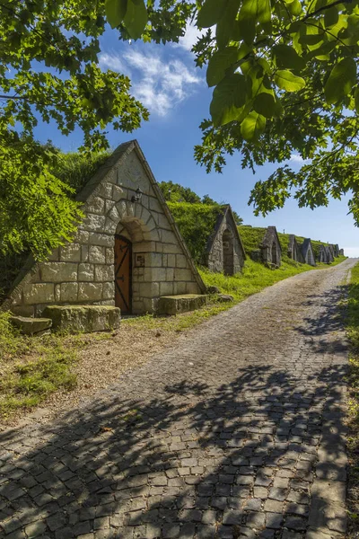 Gombos Hegyi Pincesor Hercegkut Unesco Site Great Plain North Hungary — Stock Photo, Image