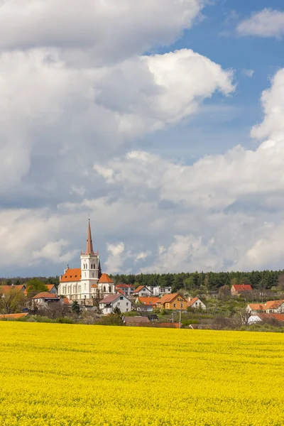 Frühlingslandschaft Bei Konice Bei Znojmo Tschechien — Stockfoto