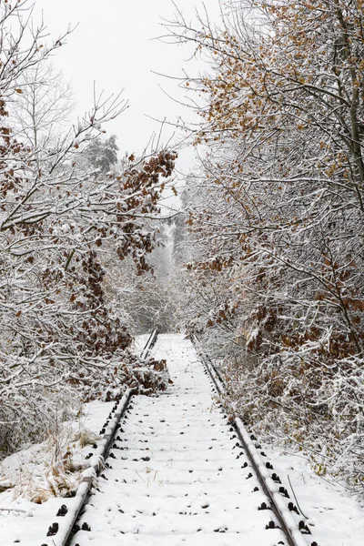 Karlı Eski Tren Yolu Iptal Edildi — Stok fotoğraf