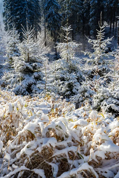 Орлиная Гора Зимой Чехия — стоковое фото