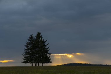 Slavkovsky 'de gün batımında manzara Horni Slavkov yakınlarında, Batı Bohemya, Çek Cumhuriyeti