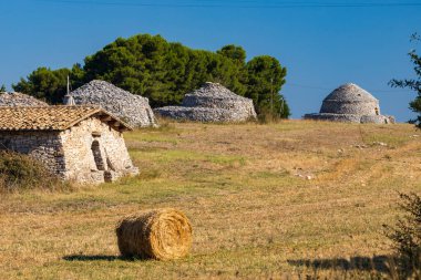 Trulli, İtalya 'nın Apulia bölgesindeki Castel del Monte yakınlarında tipik evler.