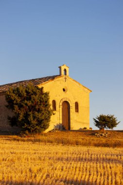 Lavanta tarlası olan şapel, Valensole Platosu, Provence, Fransa