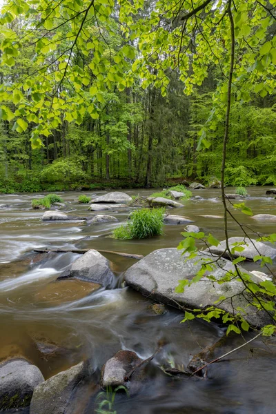 Çek Cumhuriyeti, Smrcna yakınlarındaki Sazava nehri